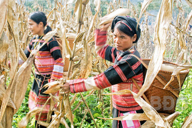 Khởi sắc vùng khó khăn