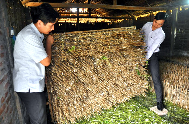 Yên Bái xóa hộ nghèo trong xây dựng xã nông thôn mới kiểu mẫu